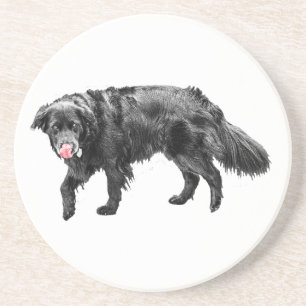 Porta-copos Cinnamon Steam, Scarlet Lick