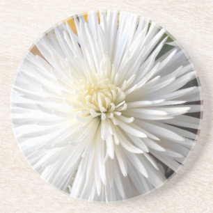 Porta-copos Claricia