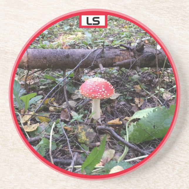 Porta-copos Cogumelo nos bosques LS Sandstone Coaster (Frente)