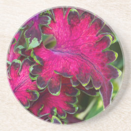 Porta-copos Coleus Macro