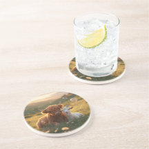 Companhias do interior