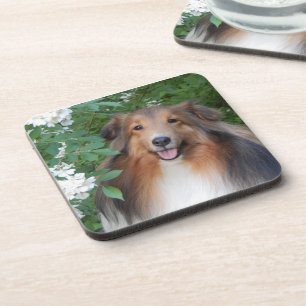 Porta copos - conjunto de 6 - com Sheltie