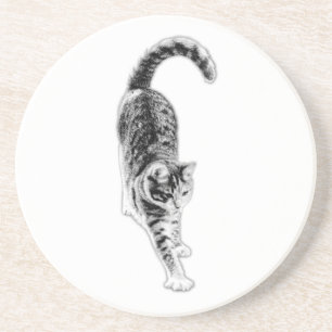 Porta-copos Conjunto de Portas copos de Gato Esticado e Pacífi