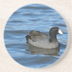Porta-copos Coot Americano