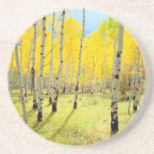 Porta-copos Cores de outono das árvores Aspen 4
