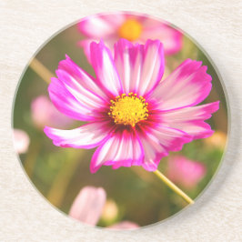 Porta-copos Cosmos rosa,Jardim de Algodão Rosalinde
