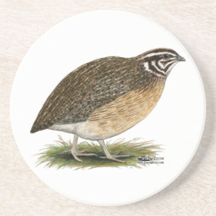 Porta-copos Coturnix Pharaoh Quail