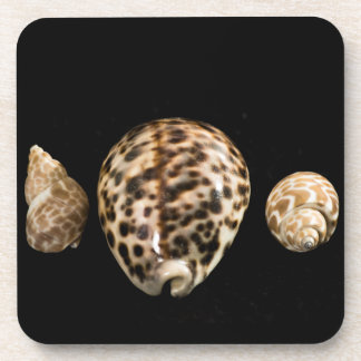 Porta copos Cowrie Cones 2 Cork