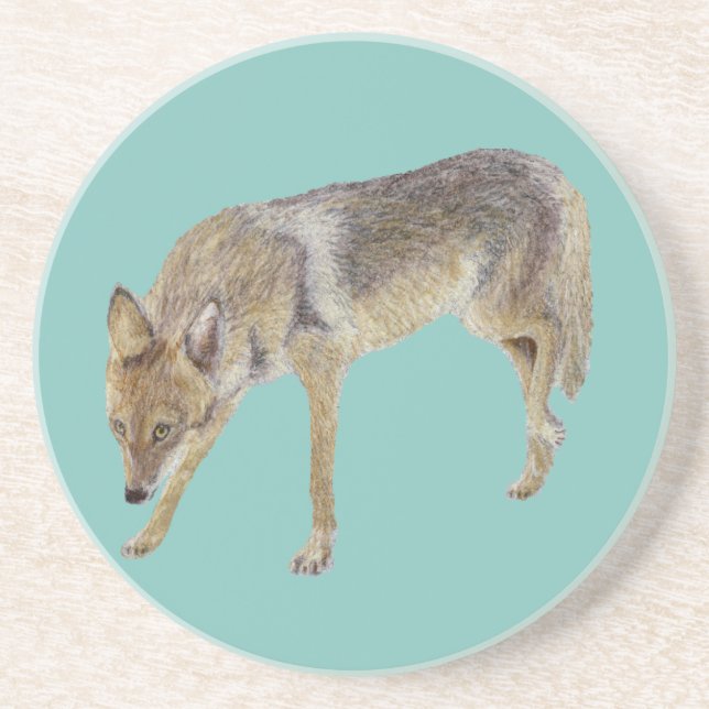 Porta-copos Coyote (Frente)