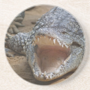 Porta-copos Crocodilo