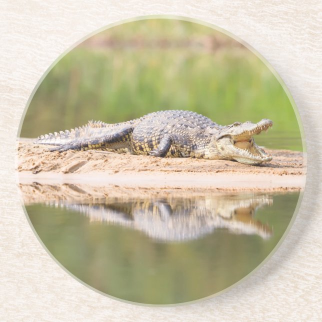 Porta-copos Crocodilo (Frente)