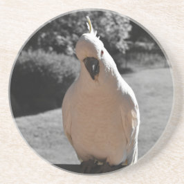 Porta-copos Curioso Cacatua de Crista Amarela