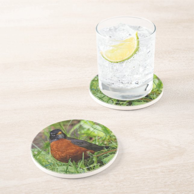 Porta-copos Curioso Robin Songbird americano na grama (Lateral)
