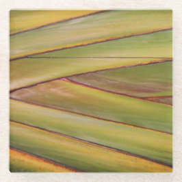 Porta copos da Árvore Palm