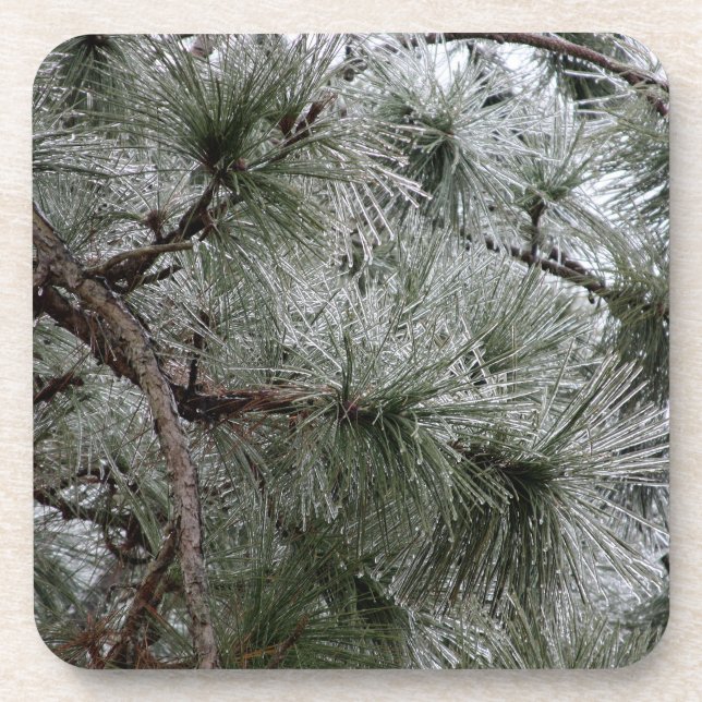 Porta copos da estação de inverno (Frente)