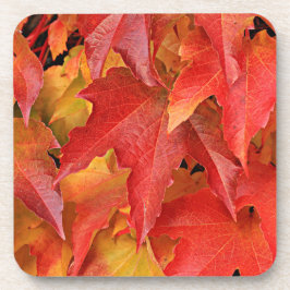 Porta copos da estação de outono