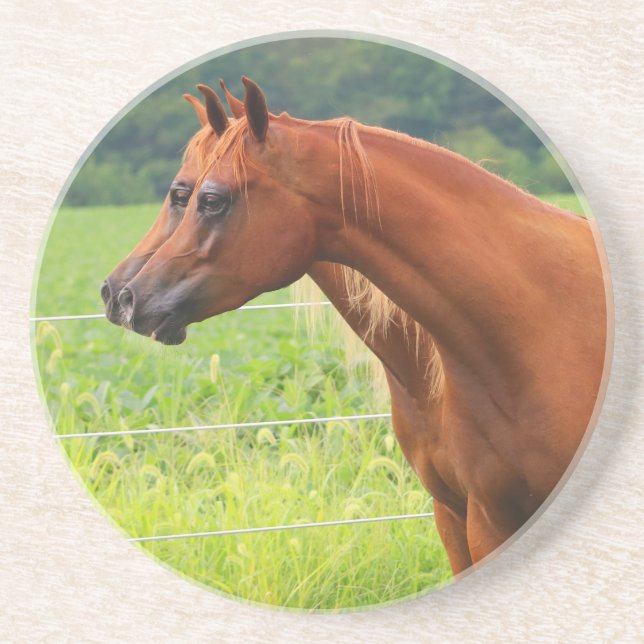 Porta copos da imagem dobro BOGO Colts (Frente)