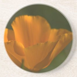 Porta copos da papoila de Califórnia