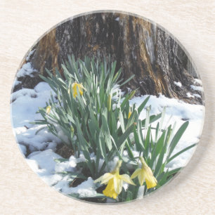 Porta-copos Daffodilos amarelos na neve