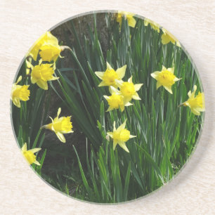 Porta-copos Daffodils do primavera