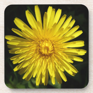 Porta copos Dandelion Cork