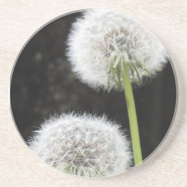 Porta copos - Dandelions (Frente)