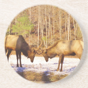 Porta-copos De Arenito 2~ 2 Bull Elk na neve