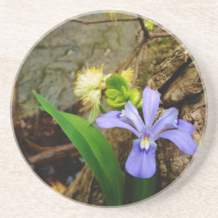 Porta-copos De Arenito Anã-Caverna-Iris, flor branca púrpura azul-púrpura