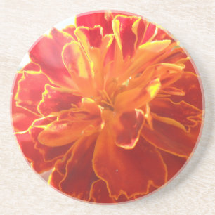 Porta-copos De Arenito Anastelino