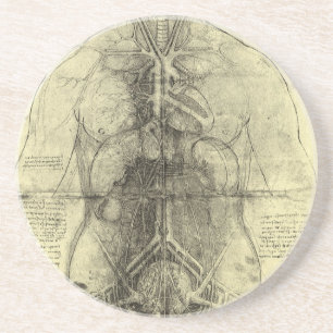 Porta-copos De Arenito Anatomia humana de Leonardo da Vinci, mulher Torso