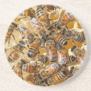 Porta-copos De Arenito Apicultura na Arlo's Honey Farm