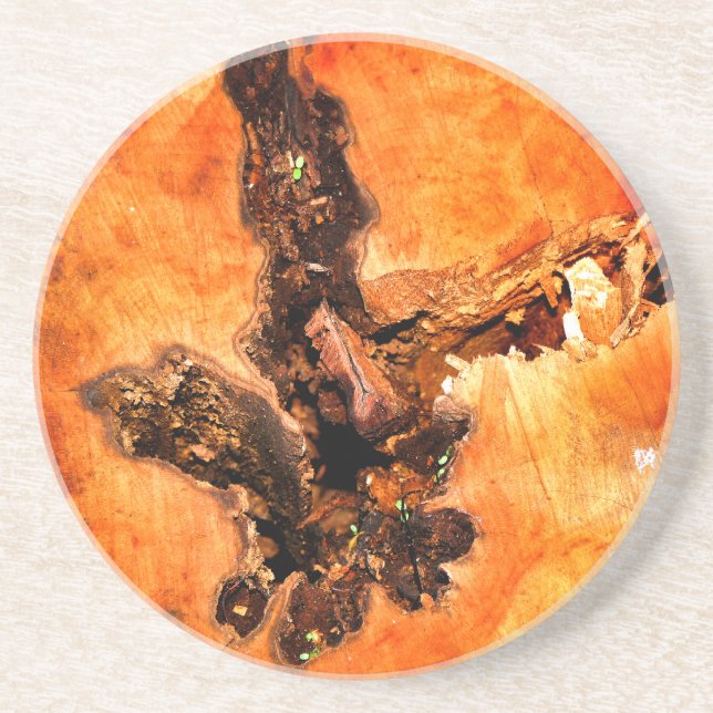 PORTA-COPOS DE ARENITO ÁRVORES (Frente)