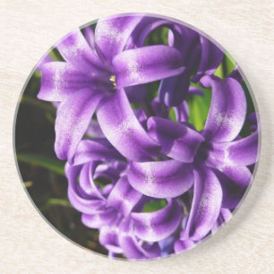 Porta-copos De Arenito Azul Hyacinth II Primavera Floral