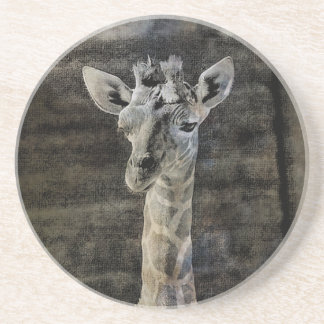 Porta-copos De Arenito Baby Giraffe
