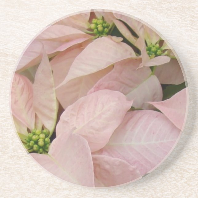Porta-copos De Arenito Baby Pink Poinsettia (Frente)