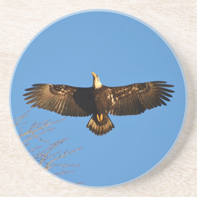 Porta-copos De Arenito Bald Eagle Soaring1 (Frente)
