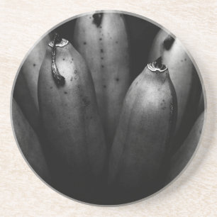 Porta-copos De Arenito bando divertido