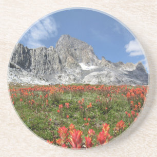 Porta-copos De Arenito Banner Pico de Flores Selvagens - Ansel Adams Wild