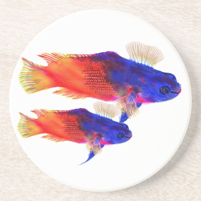 Porta-copos De Arenito Baselet feericamente (Frente)