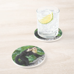 Porta-copos De Arenito Bebê adulto do carregando do macaco do Capuchin em