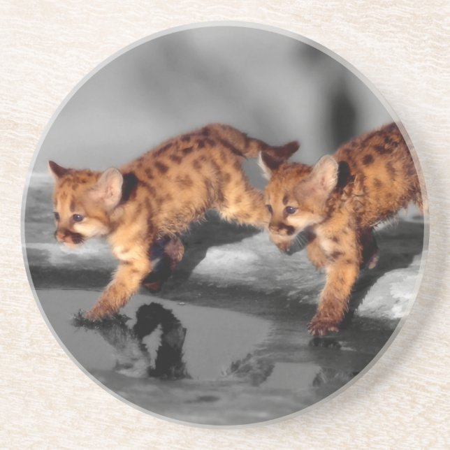 Porta-copos De Arenito Bebês Leopardos (Frente)