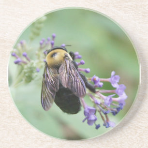 Porta-copos De Arenito Bee-autiful Bee Coaster
