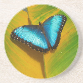 Porta-copos De Arenito Bela Borboleta Iridescente