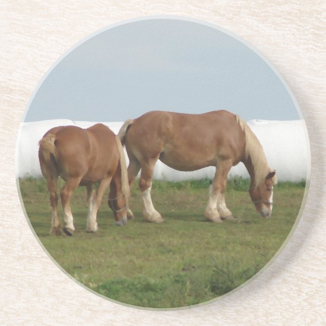 Porta-copos De Arenito Belgas (Frente)