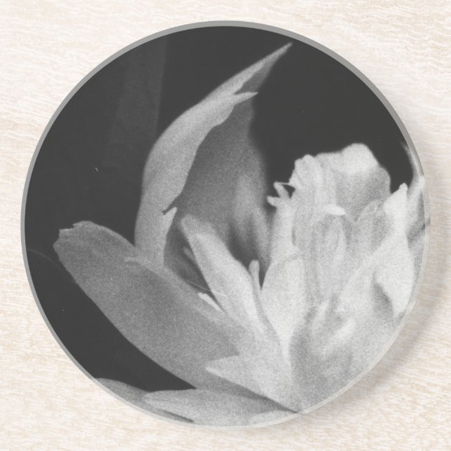 Porta-copos De Arenito Blanc (Frente)