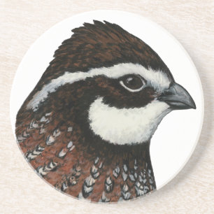 Porta-copos De Arenito Bobwhite Quail Head