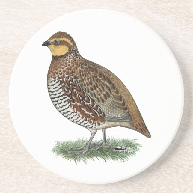 Porta-copos De Arenito Bobwhite Quail Hen (Frente)