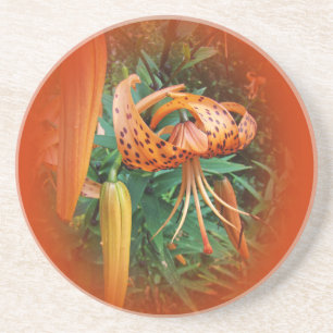 Porta-copos De Arenito Boné de Turk Lily Wildflower