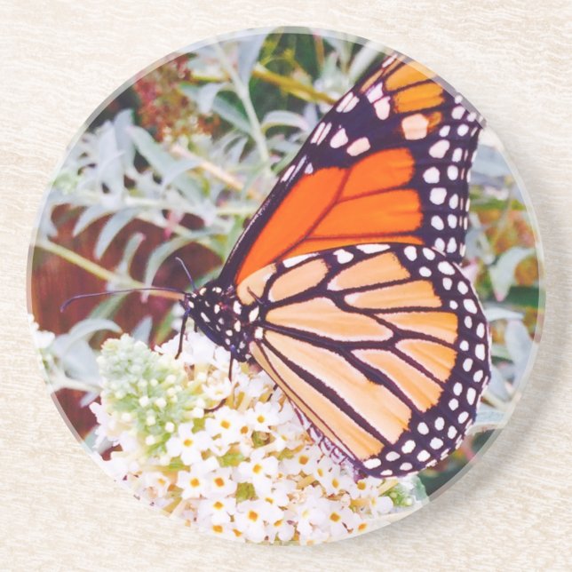 Porta-copos De Arenito Borboleta Monarca (Frente)