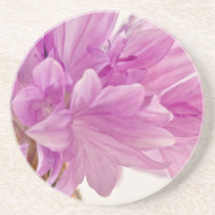 Porta-copos De Arenito Botão de Batchelor